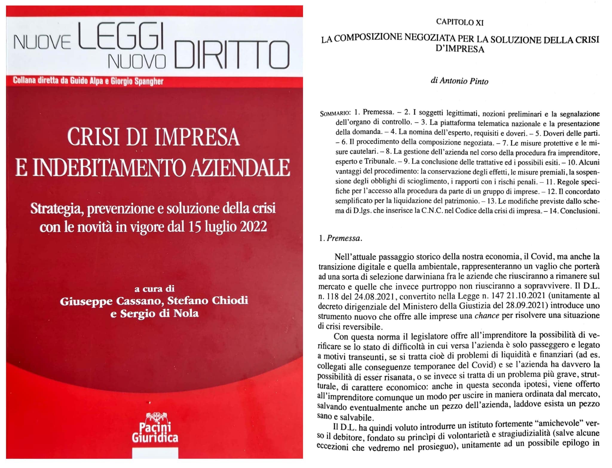Antonio Pinto scrive un capitolo sulla composizione negoziata per la soluzione delle crisi di impresa nel libro 