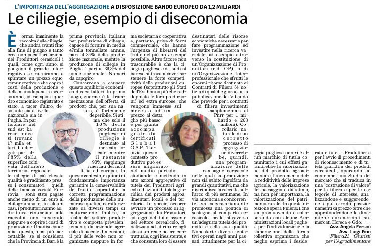 Articolo di Luigi Fino sull'Edicola del Sud sull'importanza delle aggregazioni fra produttori