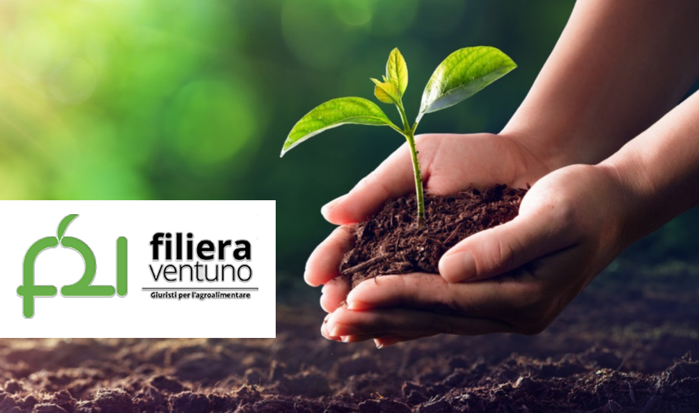 Luigi Fino a Rai 3 descrive azioni a tutela delle PMI agroalimentari
